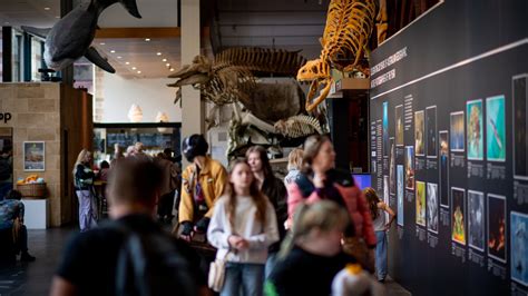 Parliamentary inquiry into SA Museum's controversial restructure .